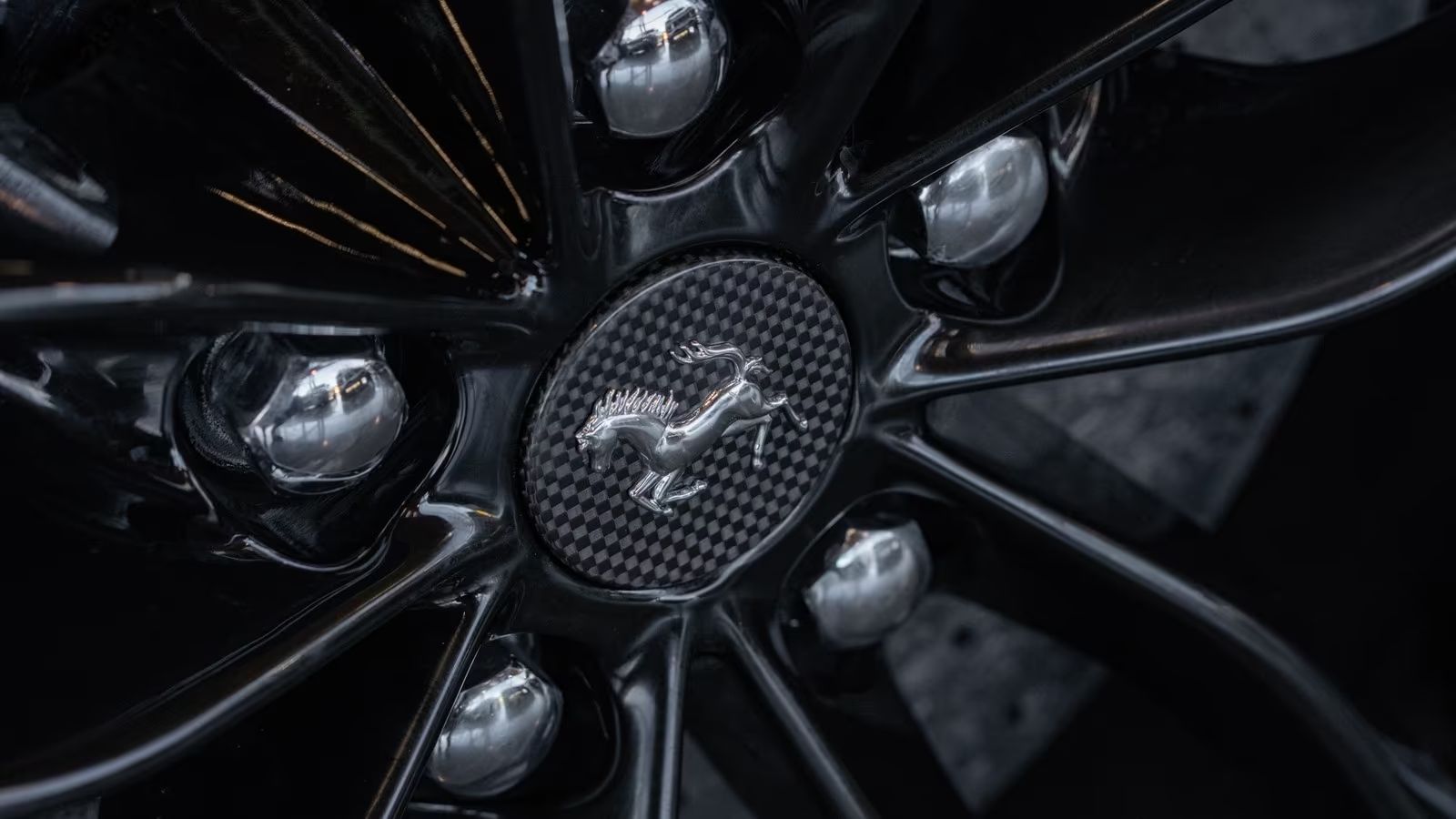 7441ff19-d173-456c-8fa9-cd8b26f25416