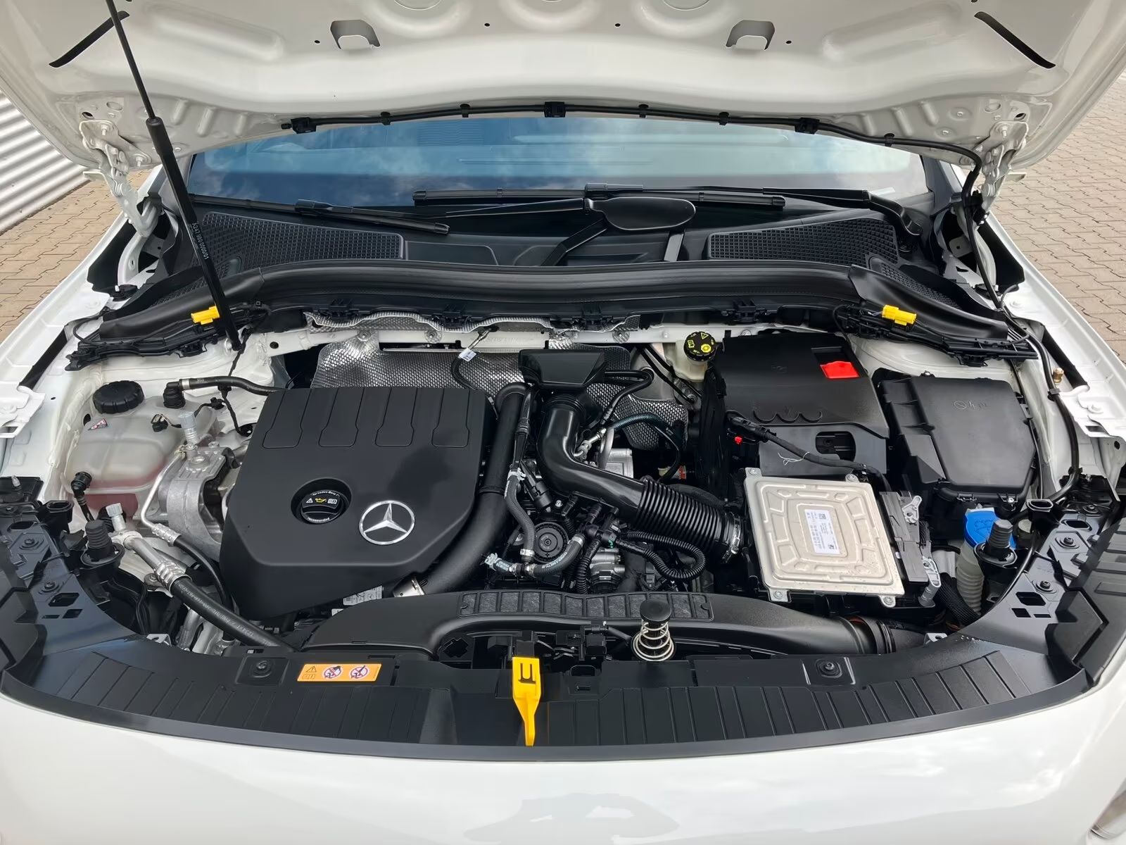 95e019ab-e4e6-455d-851f-a91327783326